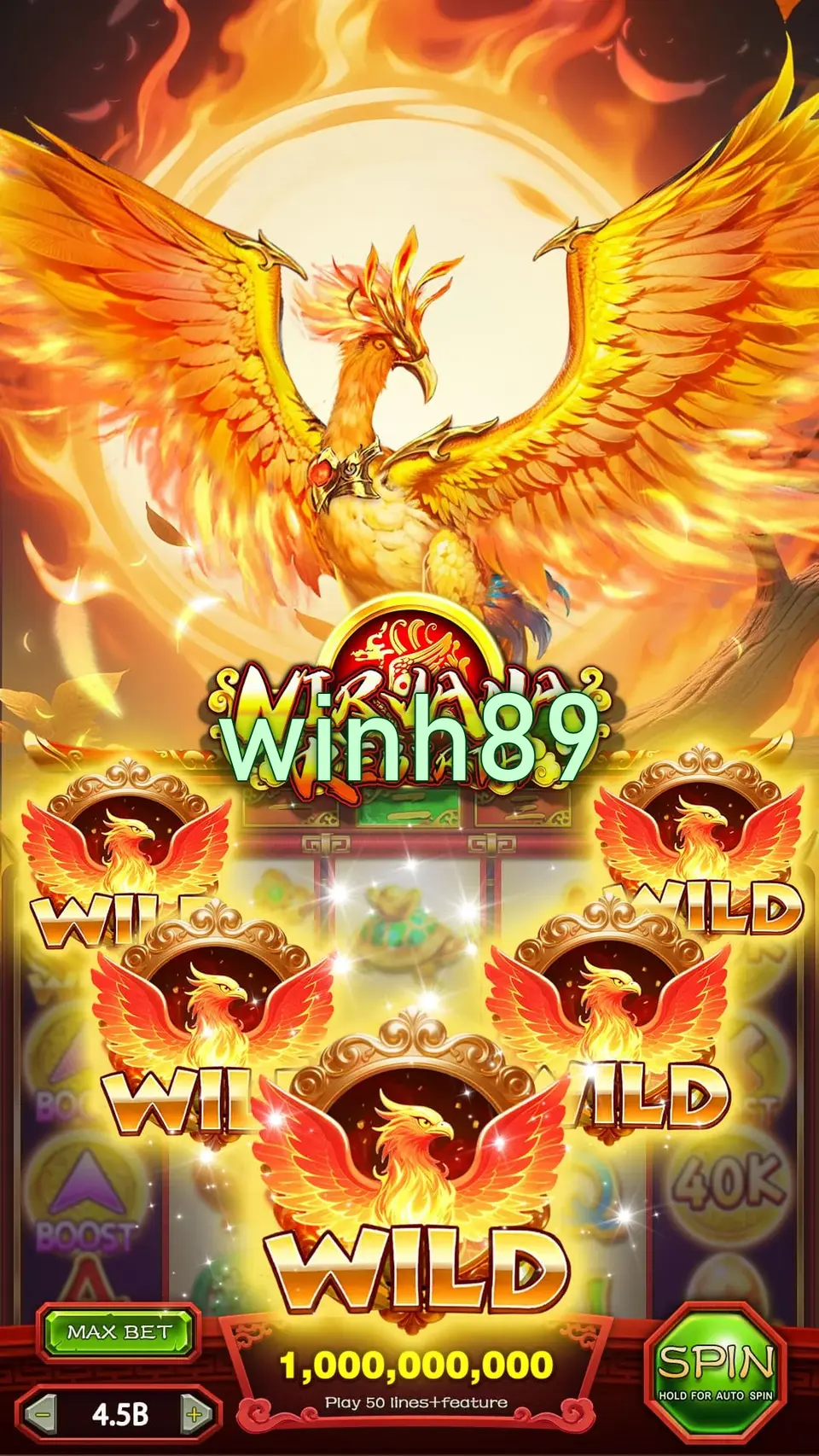 winh89 Masuk